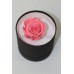 Стабилизированная роза в коробке (ярко-розовая) 